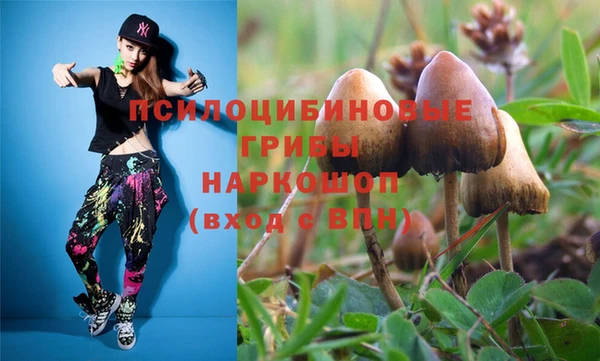 Альфа ПВП Алексин