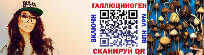 купить  сайты  Аткарск  Псилоцибиновые грибы Psilocybe 