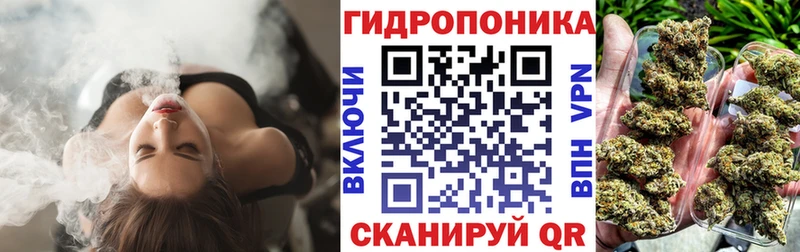 Бошки марихуана семена  сколько стоит  Аткарск 